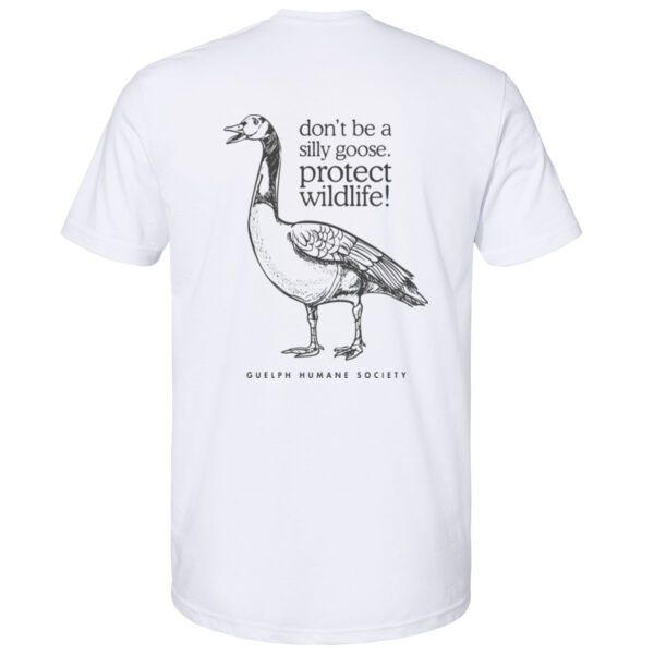 Don't Be A Silly Goose - Softstyle T-Shirt Thumbnail