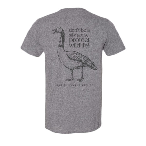 Don't Be A Silly Goose - Softstyle T-Shirt Thumbnail