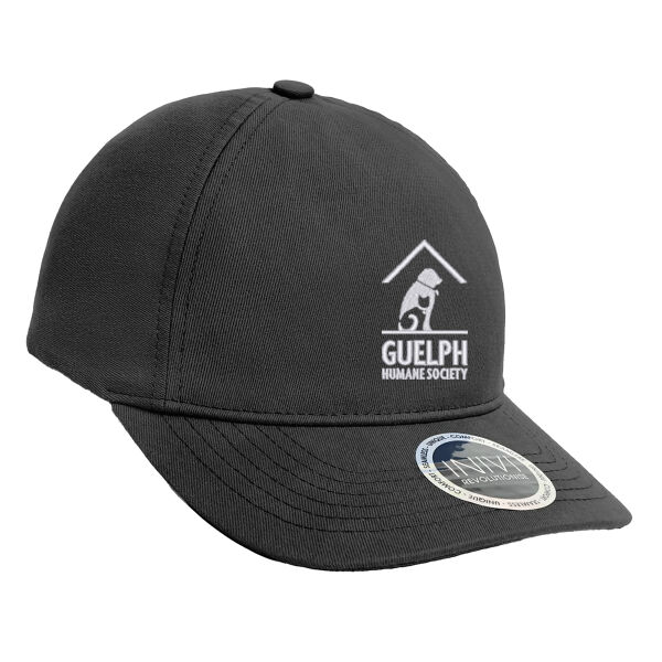 Embroidered Enzyme 2 Panel Cap Thumbnail