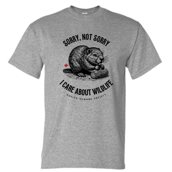 Sorry Not Sorry - Fine Jersey T-Shirt Thumbnail