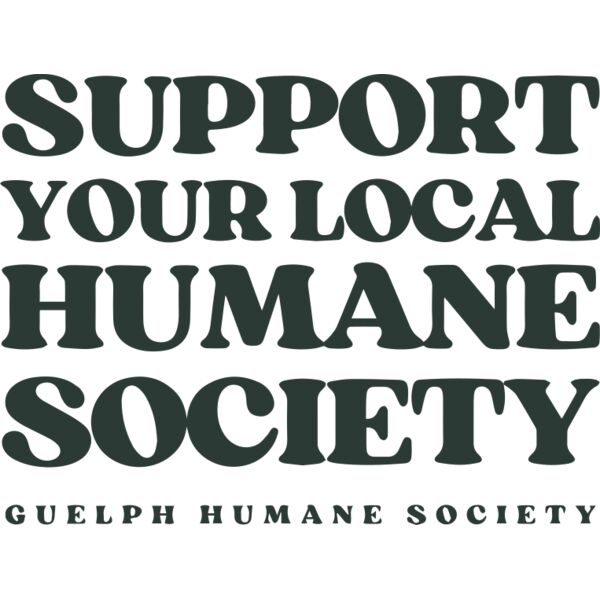 FLCSupport GreenGraphic SageShirt Thumbnail