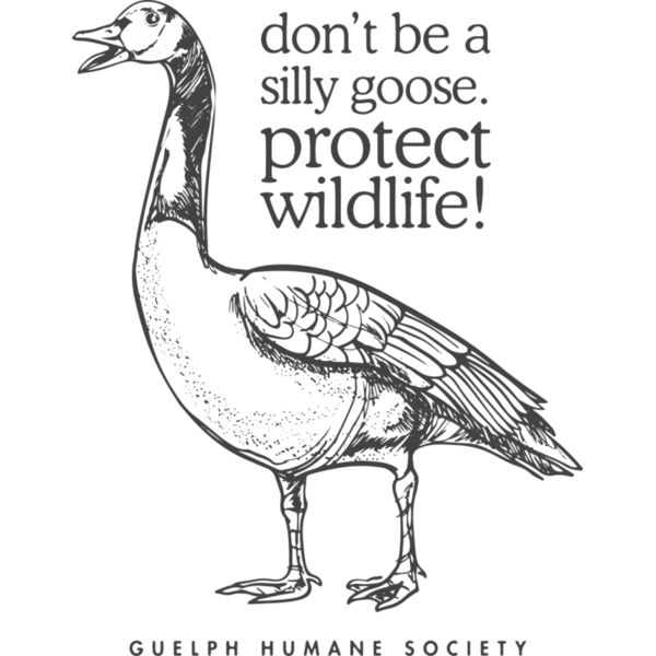 BACKSillyGoose GreyGraphic WhiteShirt  Thumbnail