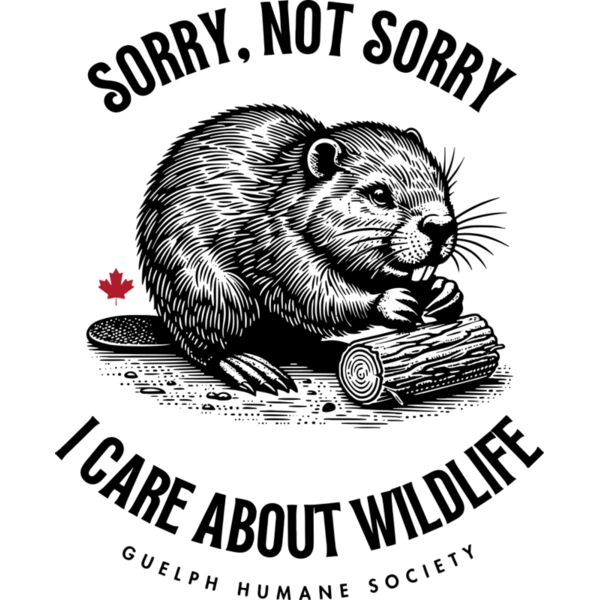 SorryNotSorry Thumbnail