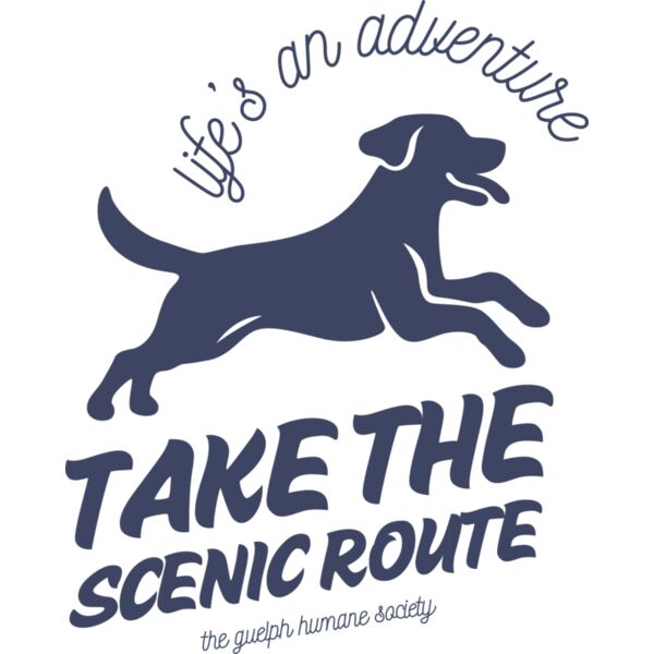 LifeanAdventure WhiteOutline Thumbnail